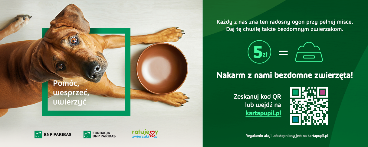 Razem z BNP Paribas Bank Polska pomagamy bezdomnym zwierzakom 🐾
