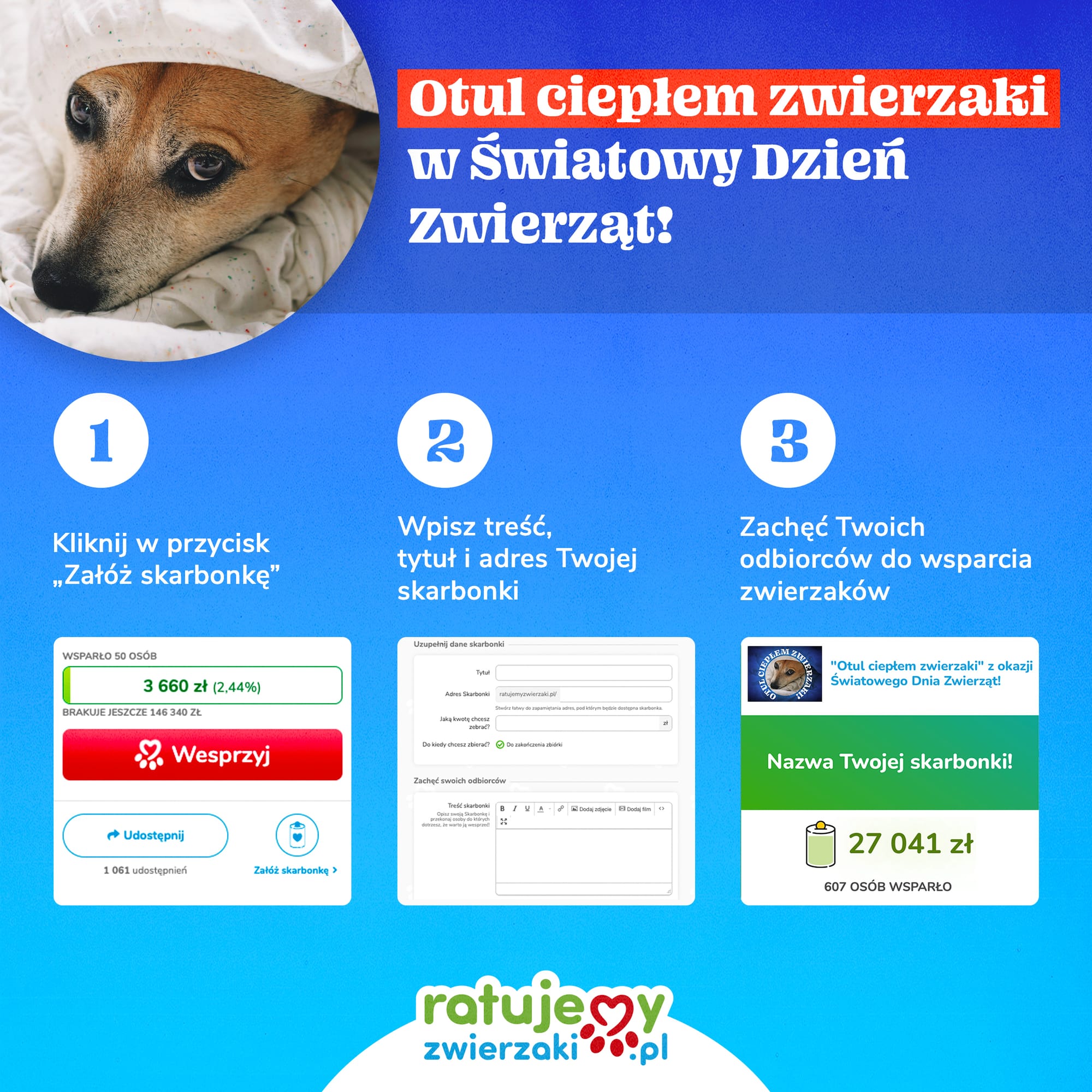 Weź udział w akcji "Otul ciepłem zwierzaki" z okazji Światowego Dnia Zwierząt!