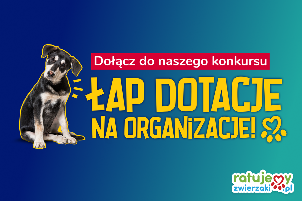 Jedyny w Polsce fundusz pomocy zwierzętom! Włącz się do akcji “Łap dotacje na Organizacje!”