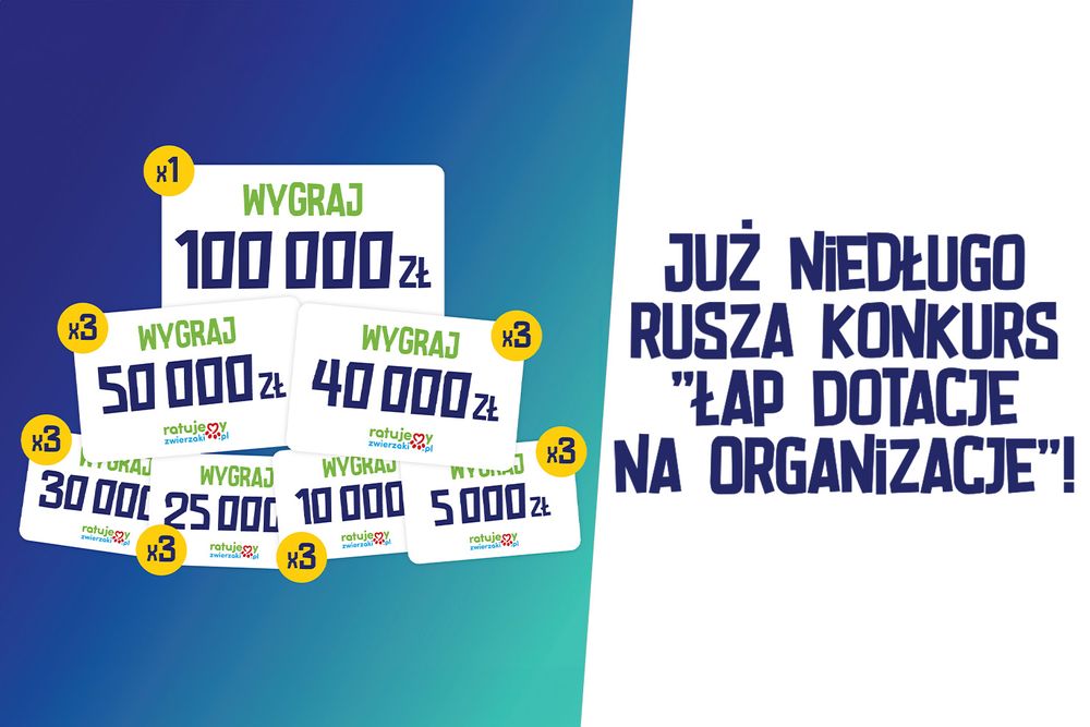 RatujemyZwierzaki.pl przekazuje dotacje na ratowanie zwierząt! Włącz się do akcji!