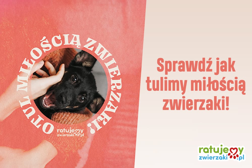 Weź udział w naszej walentynkowej akcji "Otul miłością zwierzaki"!