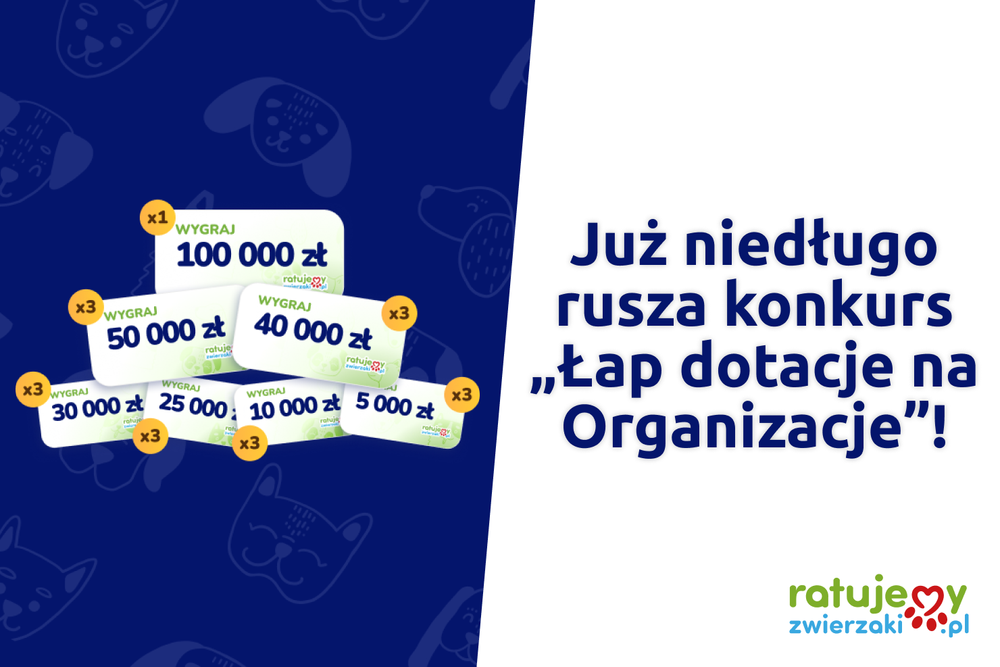 RatujemyZwierzaki.pl ponownie przekazuje dotacje na ratowanie zwierząt!