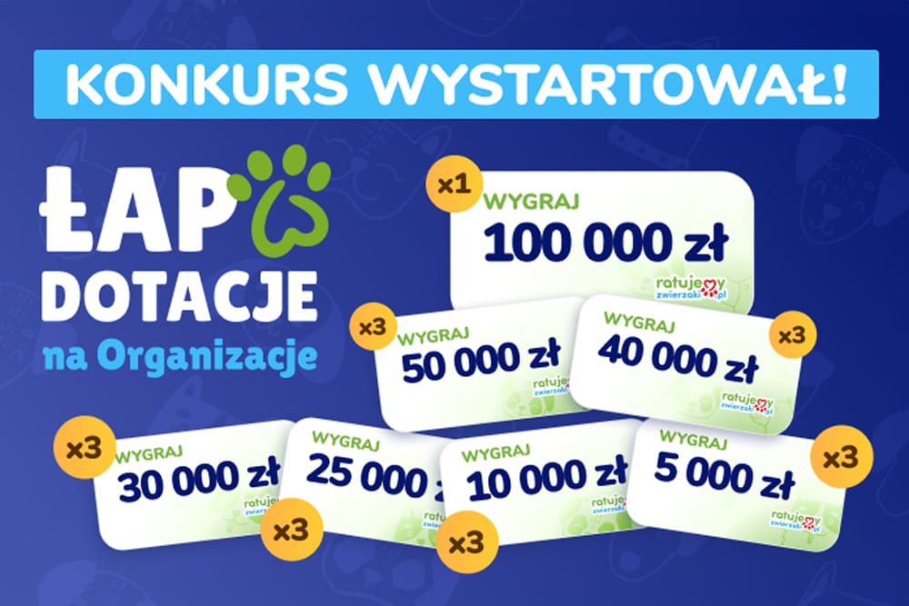 Ratujesz zwierzęta? Zarejestruj swoją Organizację i zgarnij nawet 100 000 zł dofinansowania!