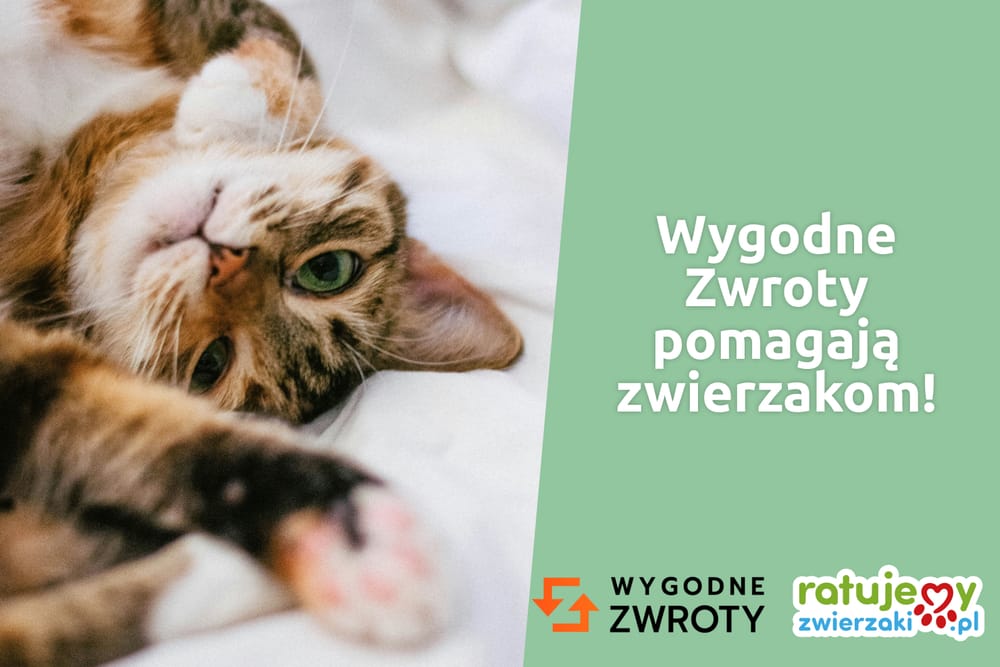 Dobro, które wraca 💚