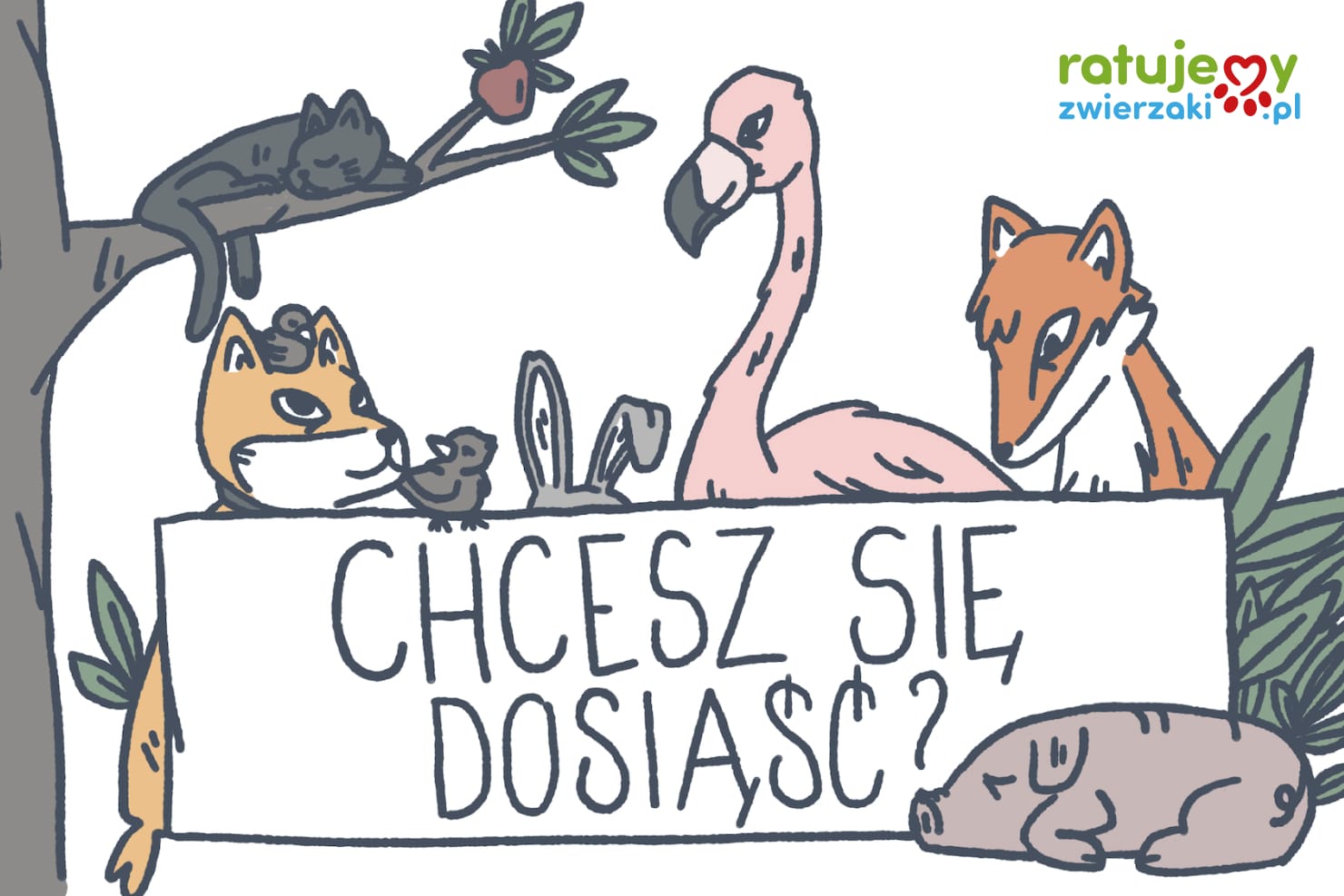 Kto może zbierać środki na portalu RatujemyZwierzaki.pl?