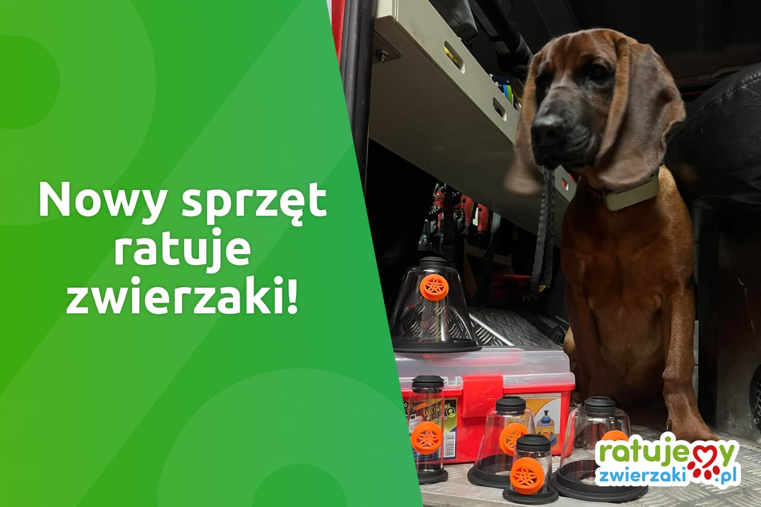 Kupiliśmy strażakom maski tlenowe dla zwierząt 🚒